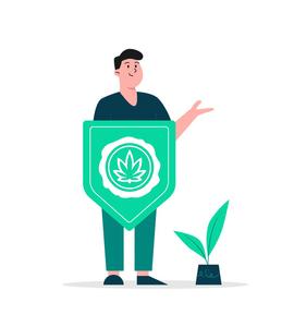 Az orvosi kannabisz és az immunrendszer